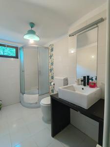 une salle de bain blanche avec un lavabo et des toilettes dans l'établissement Casuta Din Padure Malaia, à Malaia