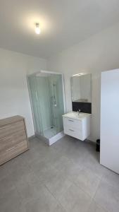 een badkamer met een douche, een wastafel en een spiegel bij Charmante maison 3 Chambres avec Terrasse in Tourcoing