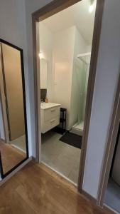 een kamer met een spiegel en een badkamer met een wastafel bij Charmante maison 3 Chambres avec Terrasse in Tourcoing