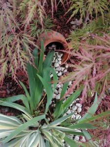 a plant next to a pile of white gravel at Apartmani Breza in Vrdnik