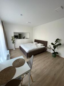 Postel nebo postele na pokoji v ubytování Apartment 1