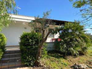 A garden outside Villa Laurus