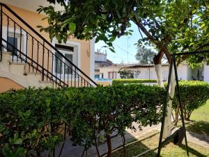 a tree in front of a building with a staircase at Nikos Apartments 3 in Kavos
