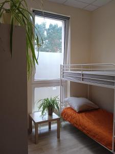 a bedroom with a bunk bed and a potted plant at Lubelski in Warsaw