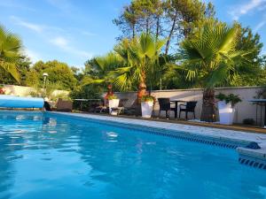 una piscina con mesa, sillas y palmeras en Villa CAPAYAN, en Gujan-Mestras