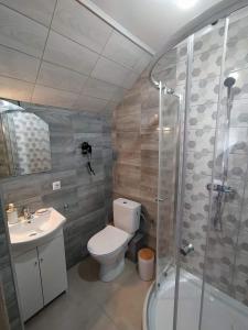 a bathroom with a toilet and a shower and a sink at Ranczo u Chmiela in Olszanica