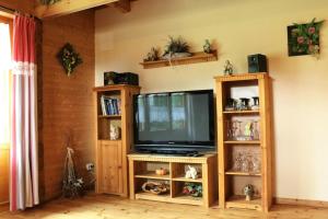 uma televisão numa sala de estar com prateleiras de madeira em Blockhaus 1 em Steina