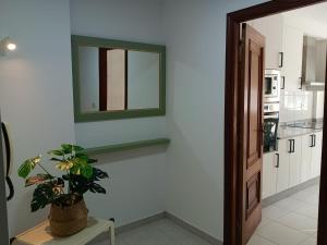a kitchen with a mirror and a plant on a table at Dulces Estancias in Lalín