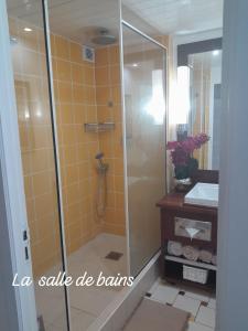 La salle de bains est pourvue d'une douche et d'un lavabo. dans l'établissement La Case à Méline, au Gosier