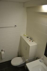 a white bathroom with a toilet and a sink at Ferienwohnung Skagen in Westerdeichstrich