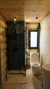 Ένα μπάνιο στο Cabana de Bușteni