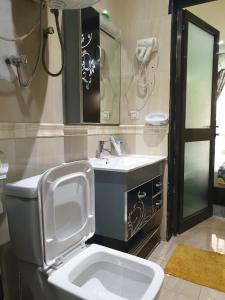 uma casa de banho com um WC, um lavatório e um espelho. em Hôtel LE PÉRIDOT em Brazavile