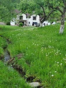 un campo de hierba con una casa en el fondo en Casa din vale en Bran