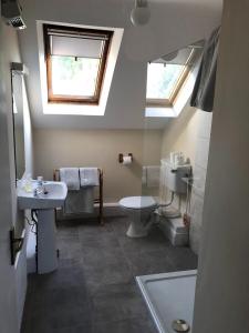 een badkamer met een wastafel, een toilet en een raam bij Temple Loft Studio in Moate