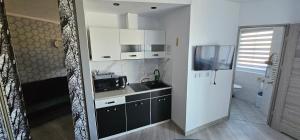 Η κουζίνα ή μικρή κουζίνα στο Apartamenty Hexagon nr 1