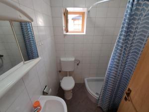 a small bathroom with a toilet and a sink at Guest House Dobriša in Vinišće