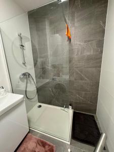eine Dusche mit Glastür im Bad in der Unterkunft Apartman Eva in Zagreb