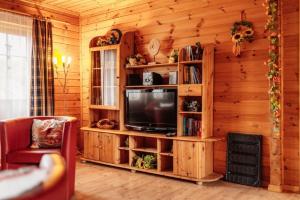 uma sala de estar com uma televisão numa parede de madeira em Blockhaus 2 em Steina