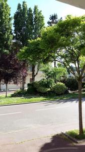 Ein Baum, der auf einer Straße sitzt in der Unterkunft Appartement à Sceaux, à 20 min de Paris centre in Sceaux