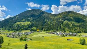 a village in the mountains with green fields and trees at Loder Lodge in Sankt Jakob in Haus