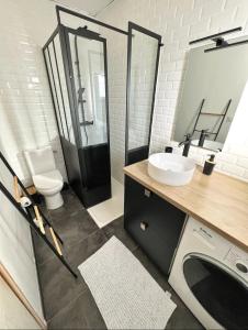 ラ・ロシェルにあるJoli appartement avec parkingの洗面台、トイレ、鏡のあるバスルーム