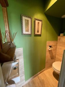 メニル・サン・ペールにあるLes Cottages d'Orient Premiumの緑の壁のバスルーム(トイレ付)