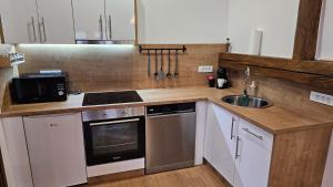 Kuchyň nebo kuchyňský kout v ubytování Apartments Beck - Super Central
