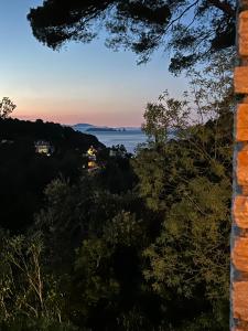 Příroda nedaleko apartmánu