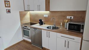 Kuchyň nebo kuchyňský kout v ubytování Apartments Beck - Super Central