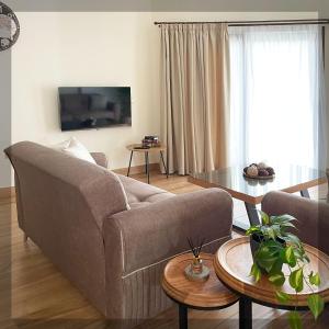 TV/trung tâm giải trí tại Favelas Luxury Apartments