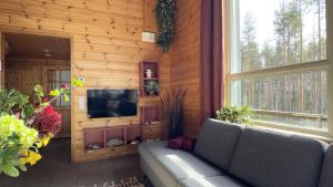 a living room with a couch and a television at Villa Kolovesi - Saimaa Retreat in Savonlinna