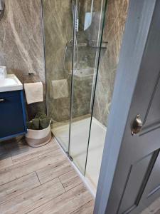 een douche met een glazen deur in de badkamer bij Croí Beag Luxury Studio in Dundalk