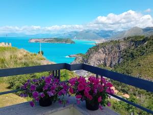 a view of the ocean from a balcony with flowers at Hotel Villa Principe in San Nicola Arcella