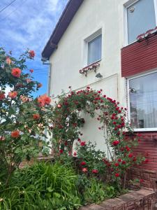 a white house with areath of red roses at Casa Conti in Sibiu