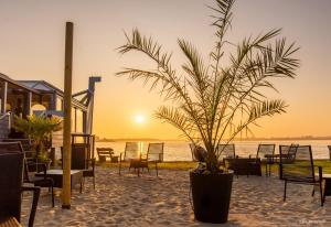 a potted plant sitting on the beach at sunset at Ferienhaus Beerster Sonne am See Ideal for a long stay Netflix in Bad Bederkesa