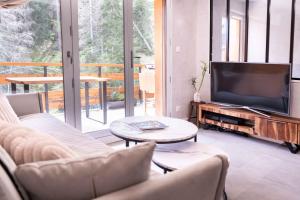 a living room with a couch and a television at Studio cabine « Au Loup Blanc » in Saint-Gervais-les-Bains