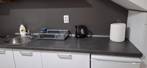 Kuchyň nebo kuchyňský kout v ubytování S-Apartmani Cocetova