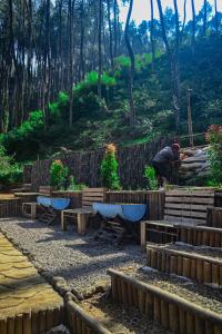 Ein Mann steht neben einem Garten mit Bänken und Pflanzen. in der Unterkunft WULANDARI CAMPING GROUND in Bandung