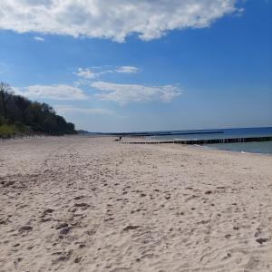 a beach with footprints in the sand and the ocean at Apartament 50m od plaży segment C nr20 w Family Resort Dominikana in Sianozety +11 photos