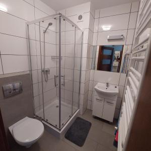 a bathroom with a shower and a toilet and a sink at Apartament 50m od plaży segment C nr20 w Family Resort Dominikana in Sianozety