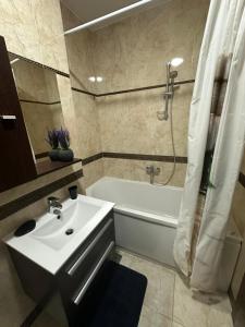 een badkamer met een wastafel en een bad bij Irish Apartment Complex in Budva