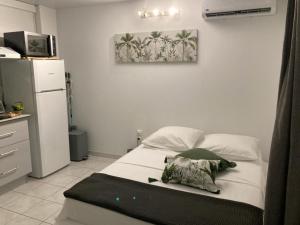 ein Bett in einem Zimmer mit Kühlschrank und Bild in der Unterkunft Chaleureux Studios Martinique in Fort-de-France