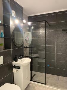 a bathroom with a shower and a toilet and a sink at Fabri's Studio Brasov in Braşov +40 photos