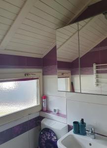 a bathroom with a sink and a toilet and a mirror at Spa Cottage Lavender in Terme Čatež in Čatež ob Savi