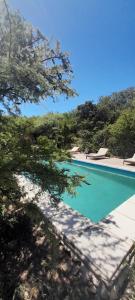 una piscina azul con un árbol en el primer plano en Cabañas PLÉYADES en 