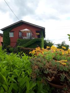 a house with a lot of plants in front of it at Agriturismo IL BIANCOSPINO Bed & Wine in Lerma
