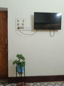 un televisor en una pared con una planta delante en Stay At The Home, en Varanasi