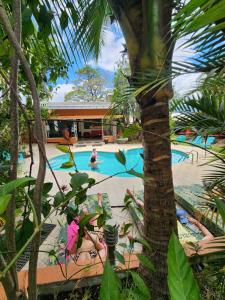 basen z palmą na pierwszym planie w obiekcie Costa Rica Backpackers w San José
