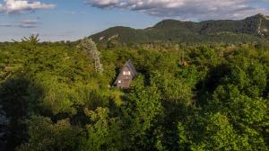 uma vista aérea de uma casa no meio de uma floresta em Bringás Vityilló - Nagymaros em Nagymaros
