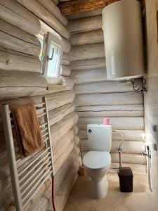 La salle de bains est pourvue de toilettes et d'un mur en bois. dans l'établissement ШОВКОВА КОСИЦЯ, à Rakhiv
